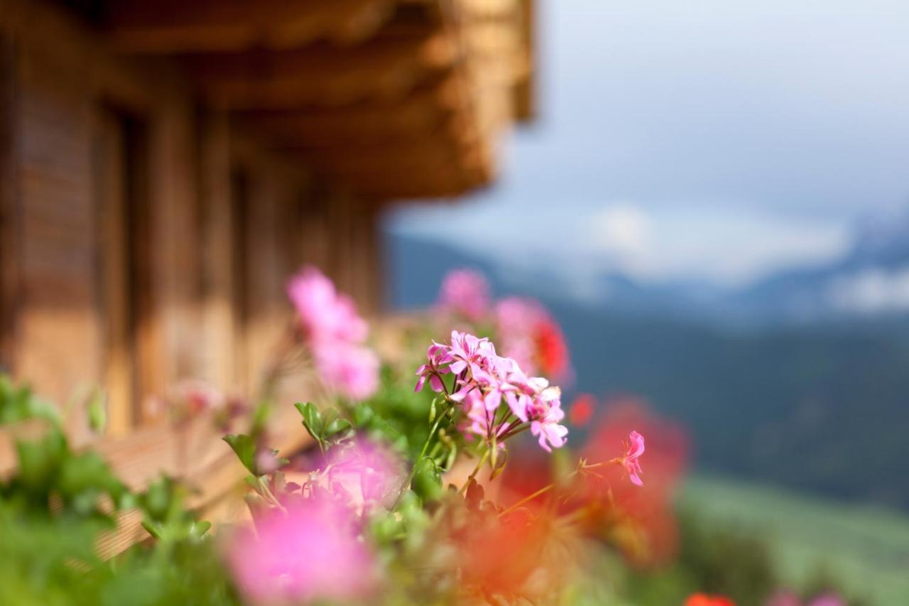 Willa Bauernhof Zwiglhof San Candido Zewnętrze zdjęcie